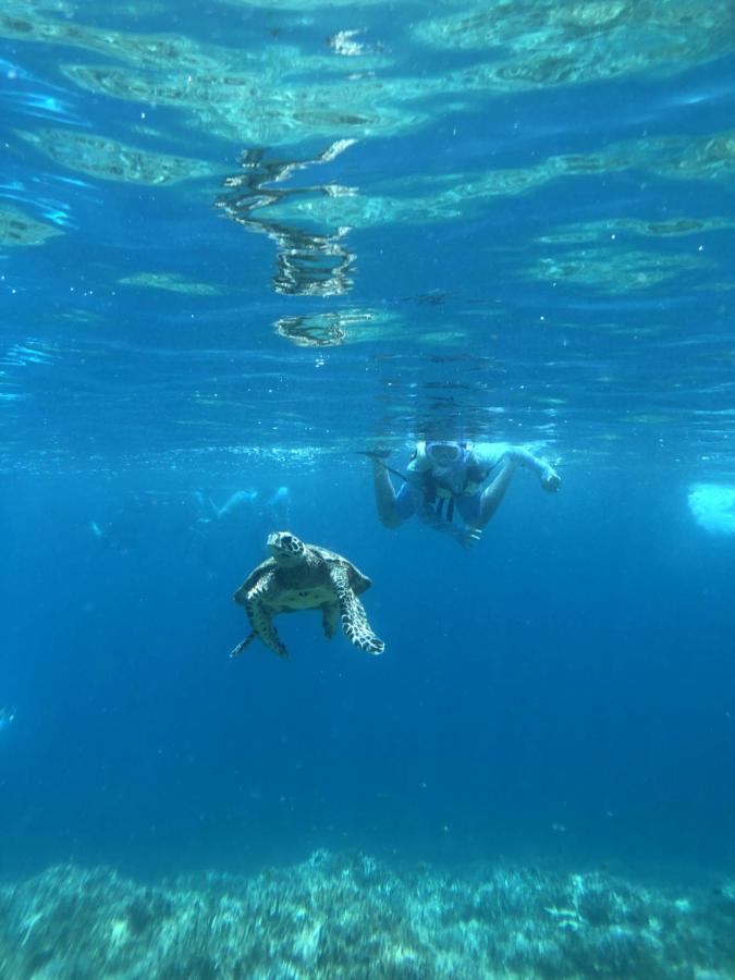 New Open!!! Bridge 小浜島 Holiday home *